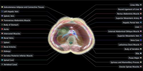 Midjourney lleva su IA al escaneo del cuerpo humano