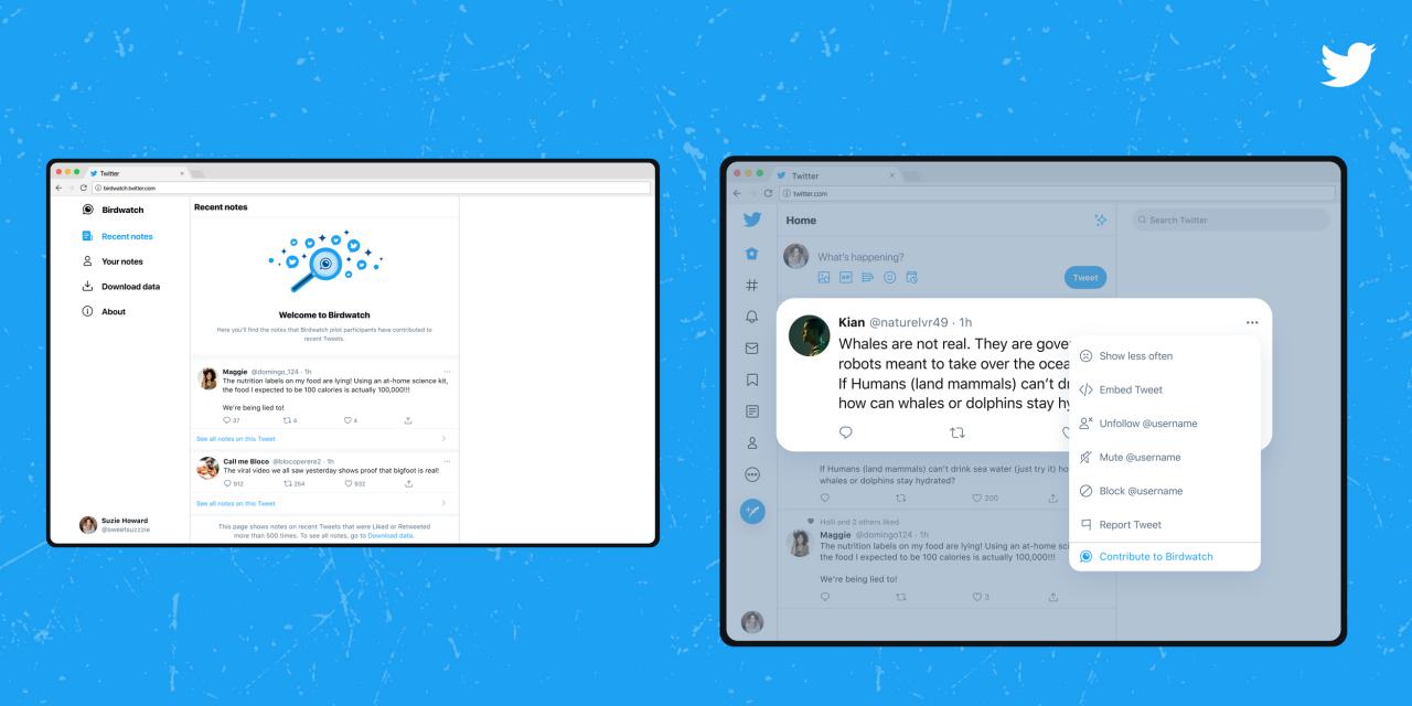 Twitter lanza Birdwatch, un nuevo proyecto piloto para luchar contar la desinformación
