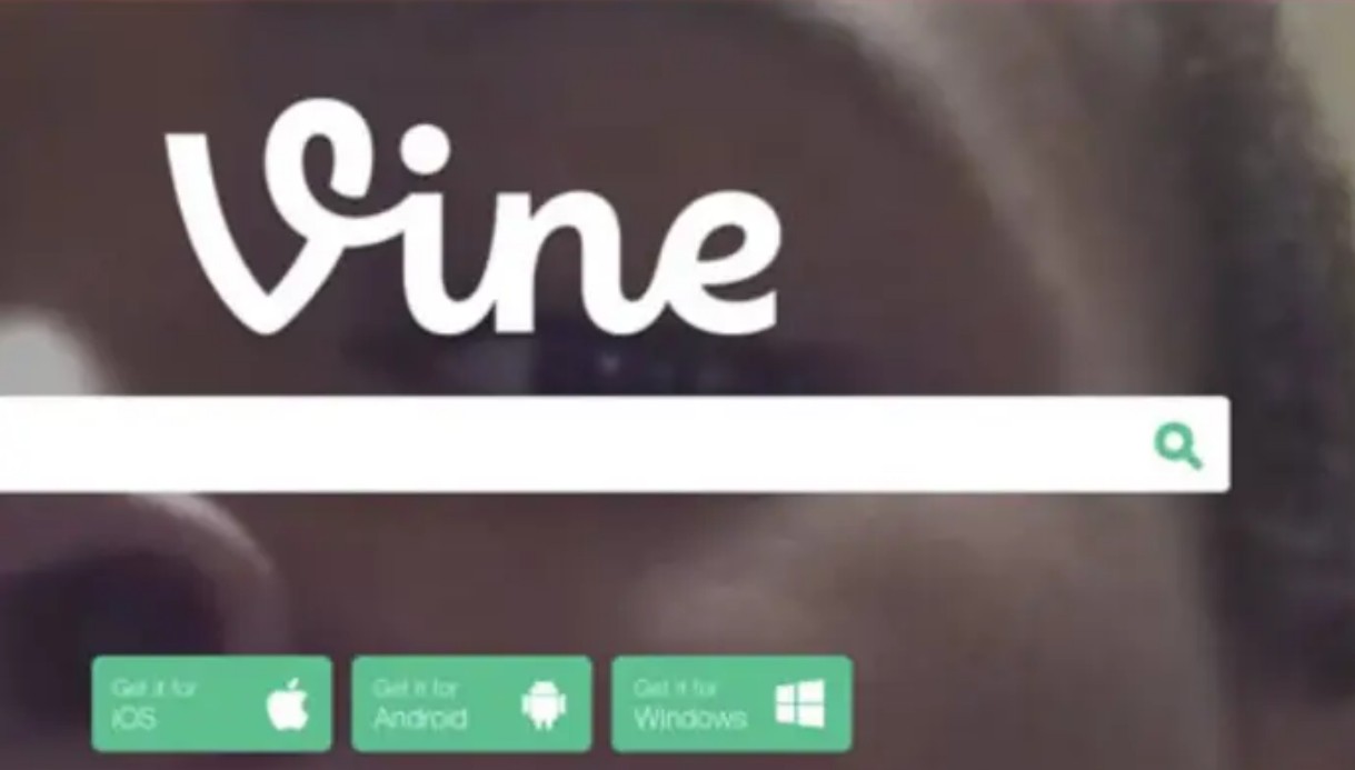 Elon Musk prepara el regreso de Vine con funciones de inteligencia artificial integradas Elon Musk prepara el regreso de Vine con funciones de inteligencia artificial integradas