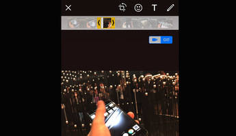 WhatsApp permite enviar GIFs a través del iPhone
 