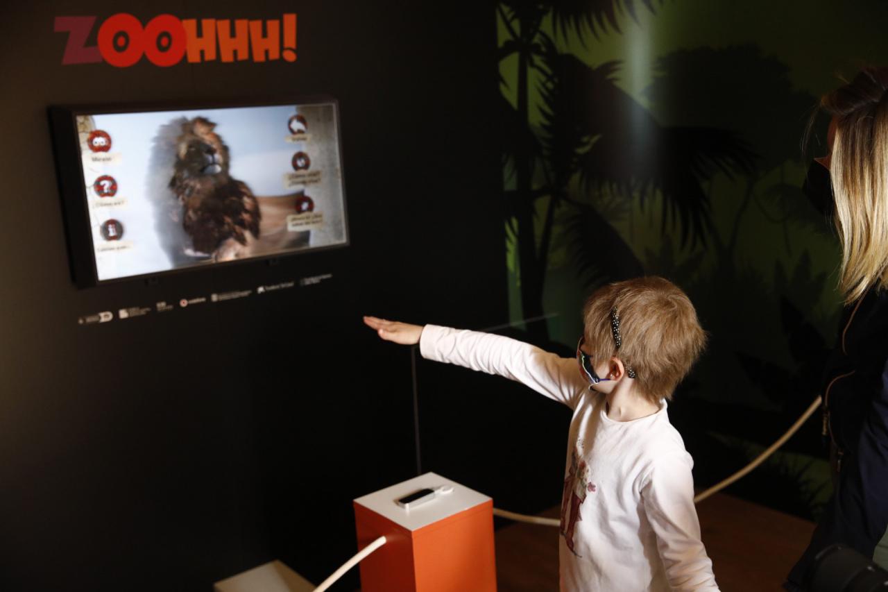 ¡ZOOHHH! permite a los niños atendidos en hospitales interactuar virtualmente con animales