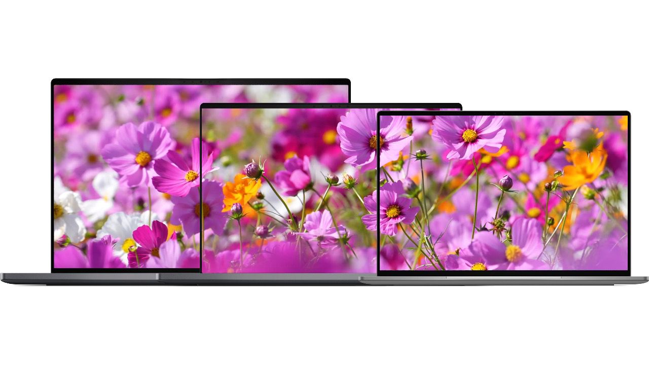 Familia completa Dell XPS (17
