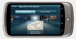 Brightcove, Vídeo de alta calidad en moviles android, Adobe Flash Player 10.1