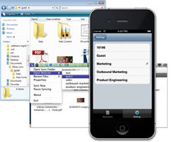 Liferay sync, Liferay Portal