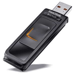 Memoria flash USB SanDisk Ultra Backup