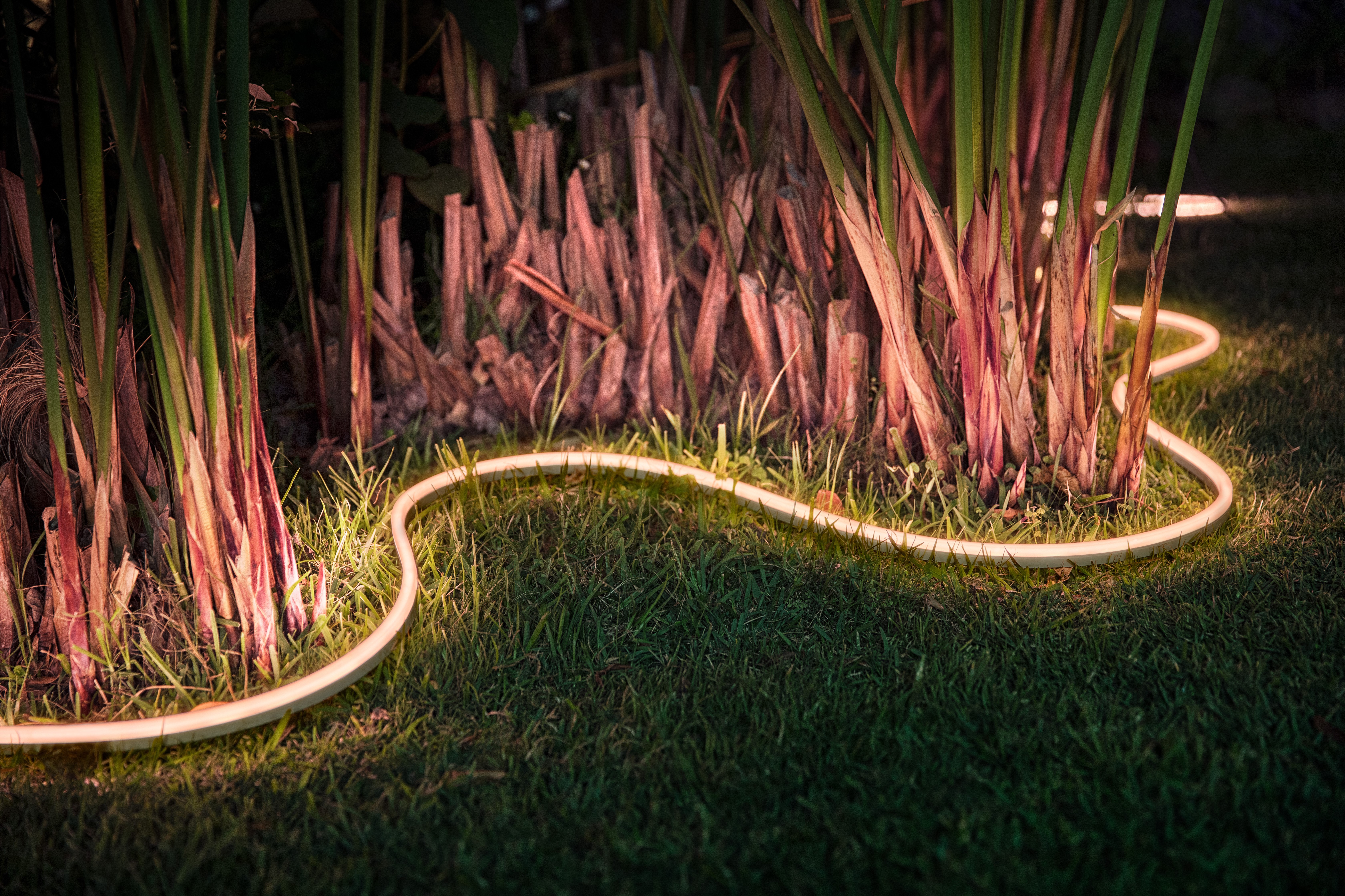 Hue Lightstrip outdoor